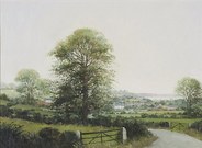 Penwith Landscape