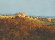 Cornish Farm And House